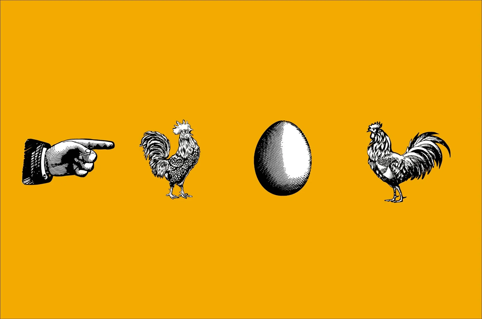 Eggy Case study 20254.jpg