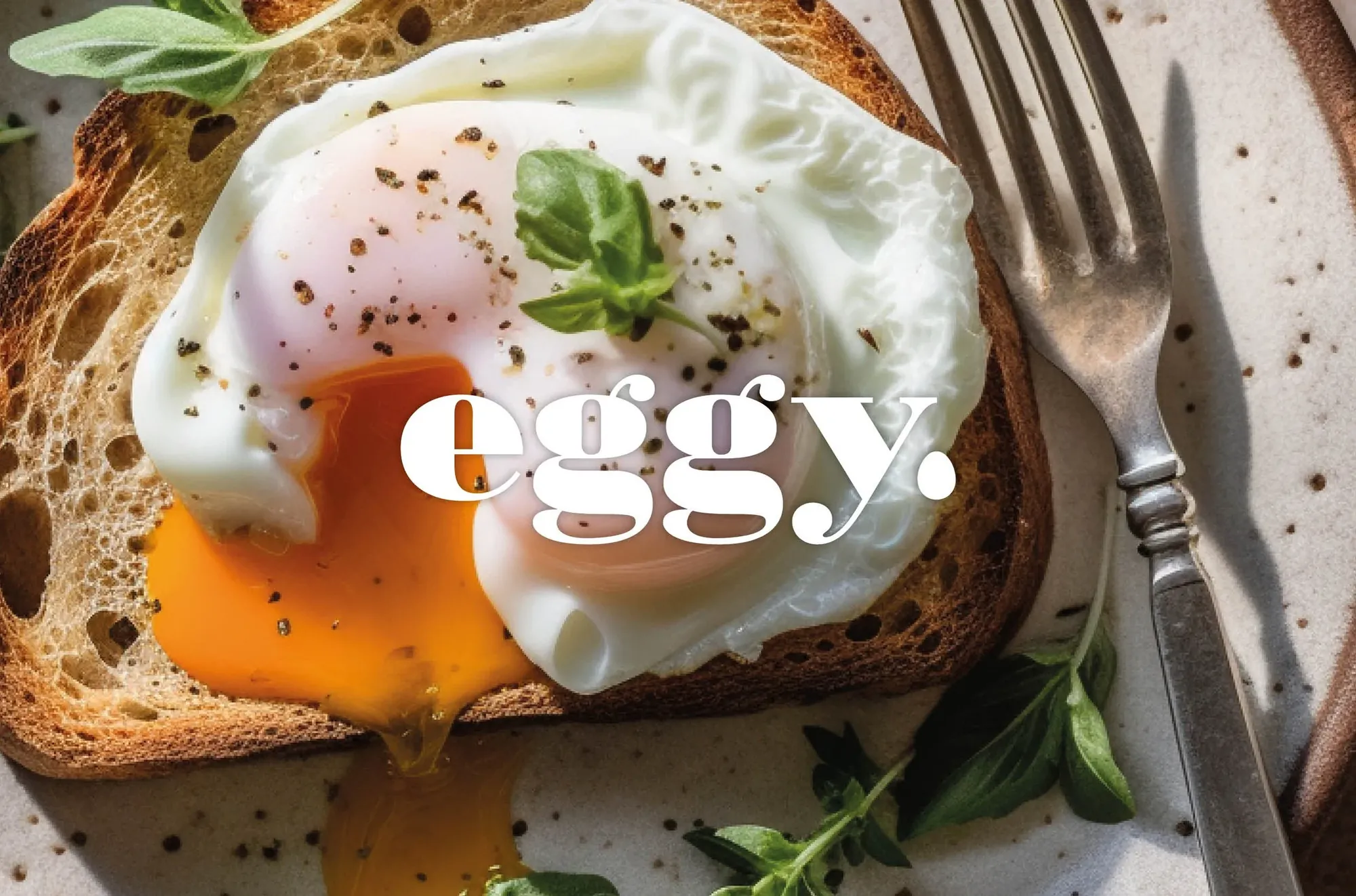 Eggy Case study 2025.jpg
